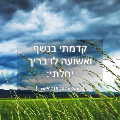 Picture 05 - תהלים 119:147 HEB - קדמתי בנשף ואשועה לדבריך - Bible Verse Picture