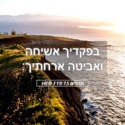 Picture 05 - תהלים 119:15 HEB - בפקדיך אשיחה ואביטה - Bible Verse Picture
