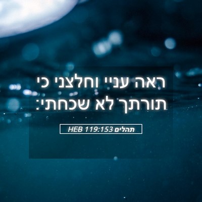 Picture 05 - תהלים 119:153 HEB - ראה עניי וחלצני כי תורתך לא - Bible Verse Picture