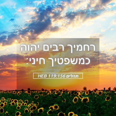 Picture 05 - תהלים 119:156 HEB - רחמיך רבים יהוה כמשפטיך - Bible Verse Picture