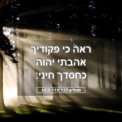 Picture 05 - תהלים 119:159 HEB - ראה כי פקודיך אהבתי יהוה - Bible Verse Picture