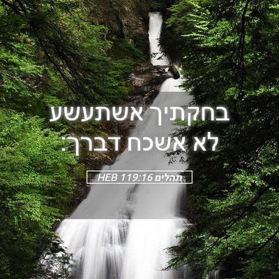 Picture 05 - תהלים 119:16 HEB - בחקתיך אשתעשע לא אשכח - Bible Verse Picture