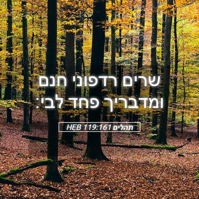 Picture 05 - תהלים 119:161 HEB - שרים רדפוני חנם ומדבריך - Bible Verse Picture