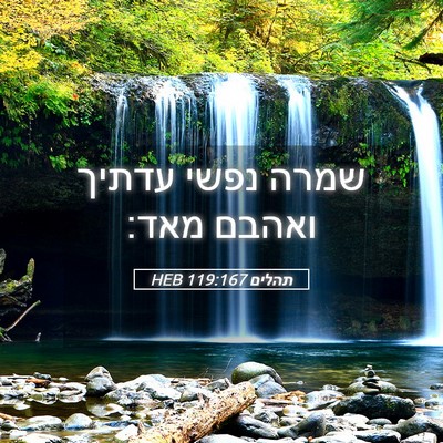 Picture 05 - תהלים 119:167 HEB - שמרה נפשי עדתיך ואהבם - Bible Verse Picture