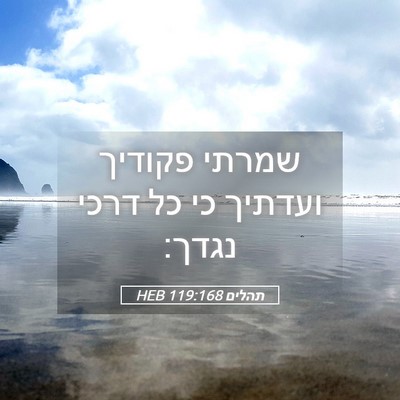 Picture 05 - תהלים 119:168 HEB - שמרתי פקודיך ועדתיך כי כל - Bible Verse Picture
