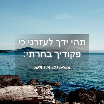 Picture 05 - תהלים 119:173 HEB - תהי ידך לעזרני כי פקודיך - Bible Verse Picture
