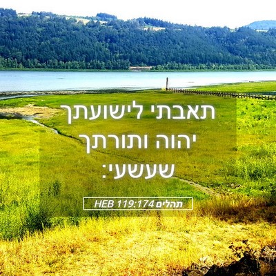 Picture 05 - תהלים 119:174 HEB - תאבתי לישועתך יהוה ותורתך - Bible Verse Picture
