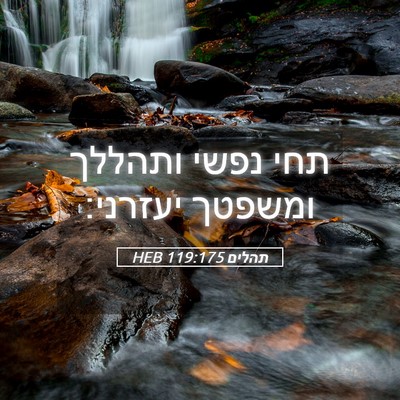 Picture 05 - תהלים 119:175 HEB - תחי נפשי ותהללך ומשפטך - Bible Verse Picture