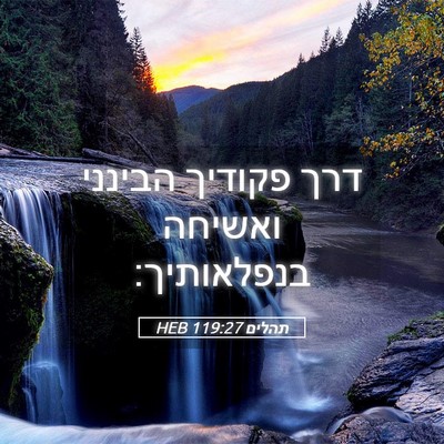 Picture 05 - תהלים 119:27 HEB - דרך פקודיך הבינני ואשיחה - Bible Verse Picture