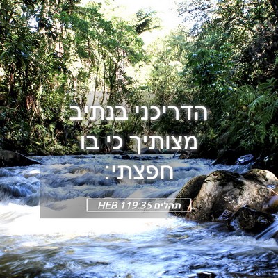 Picture 05 - תהלים 119:35 HEB - הדריכני בנתיב מצותיך כי בו - Bible Verse Picture