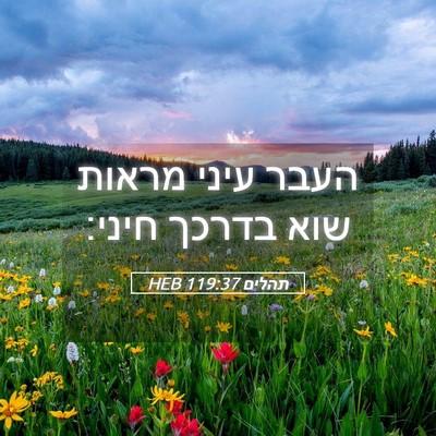 Picture 05 - תהלים 119:37 HEB - העבר עיני מראות שוא בדרכך - Bible Verse Picture