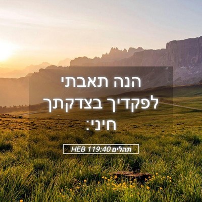 Picture 05 - תהלים 119:40 HEB - הנה תאבתי לפקדיך בצדקתך - Bible Verse Picture