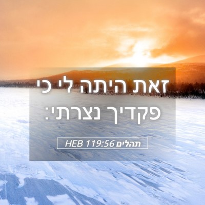Picture 05 - תהלים 119:56 HEB - זאת היתה לי כי פקדיך - Bible Verse Picture