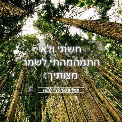 Picture 05 - תהלים 119:60 HEB - חשתי ולא התמהמהתי לשמר - Bible Verse Picture