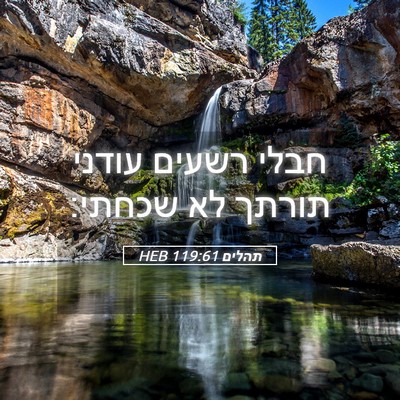 Picture 05 - תהלים 119:61 HEB - חבלי רשעים עודני תורתך לא - Bible Verse Picture