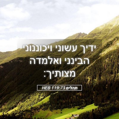 Picture 05 - תהלים 119:73 HEB - ידיך עשוני ויכוננוני - Bible Verse Picture