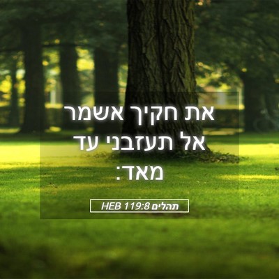 Picture 05 - תהלים 119:8 HEB - את חקיך אשמר אל תעזבני עד - Bible Verse Picture
