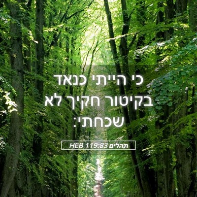 Picture 05 - תהלים 119:83 HEB - כי הייתי כנאד בקיטור חקיך - Bible Verse Picture