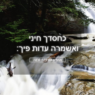 Picture 05 - תהלים 119:88 HEB - כחסדך חיני ואשמרה עדות - Bible Verse Picture