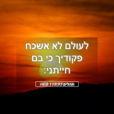 Picture 05 - תהלים 119:93 HEB - לעולם לא אשכח פקודיך כי בם - Bible Verse Picture