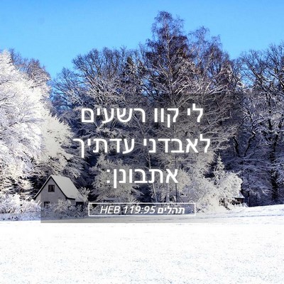 Picture 05 - תהלים 119:95 HEB - לי קוו רשעים לאבדני עדתיך - Bible Verse Picture