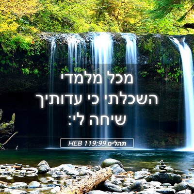 Picture 05 - תהלים 119:99 HEB - מכל מלמדי השכלתי כי עדותיך - Bible Verse Picture