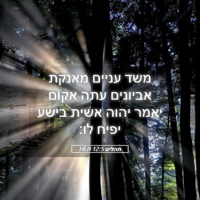 Picture 05 - תהלים 12:5 HEB - משד עניים מאנקת אביונים - Bible Verse Picture