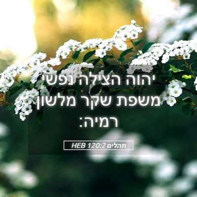 Picture 05 - תהלים 120:2 HEB - יהוה הצילה נפשי משפת שקר - Bible Verse Picture