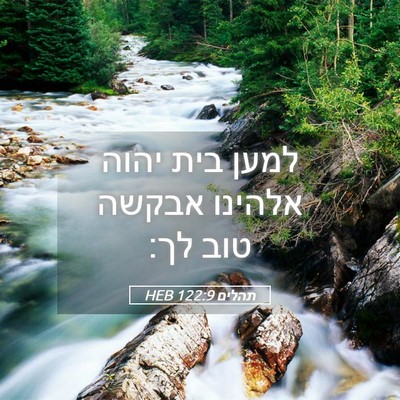 Picture 05 - תהלים 122:9 HEB - למען בית יהוה אלהינו אבקשה - Bible Verse Picture