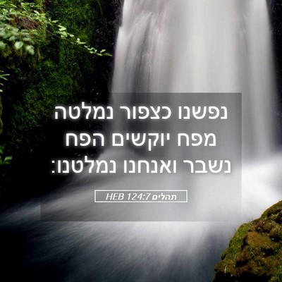 Picture 05 - תהלים 124:7 HEB - נפשנו כצפור נמלטה מפח - Bible Verse Picture