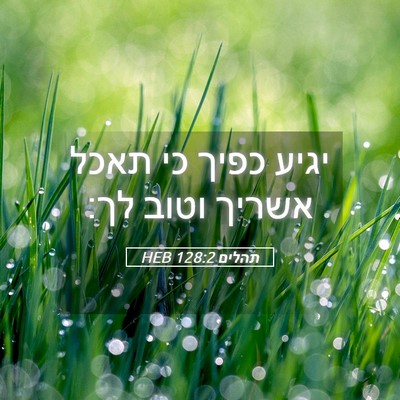 Picture 05 - תהלים 128:2 HEB - יגיע כפיך כי תאכל אשריך - Bible Verse Picture