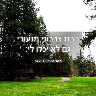 Picture 05 - תהלים 129:2 HEB - רבת צררוני מנעורי גם לא - Bible Verse Picture