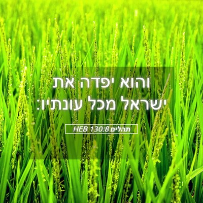 Picture 05 - תהלים 130:8 HEB - והוא יפדה את ישראל מכל - Bible Verse Picture