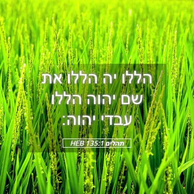 Picture 05 - תהלים 135:1 HEB - הללו יה הללו את שם יהוה - Bible Verse Picture