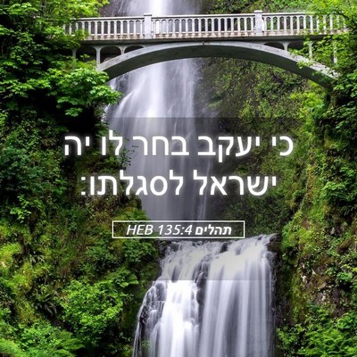 Picture 05 - תהלים 135:4 HEB - כי יעקב בחר לו יה ישראל - Bible Verse Picture
