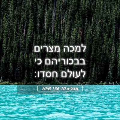 Picture 05 - תהלים 136:10 HEB - למכה מצרים בבכוריהם כי - Bible Verse Picture