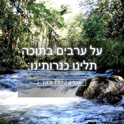 Picture 05 - תהלים 137:2 HEB - על ערבים בתוכה תלינו - Bible Verse Picture