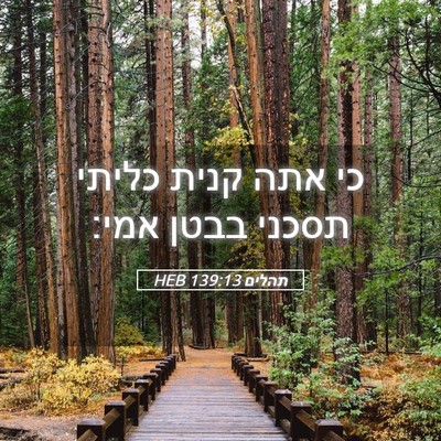 Picture 05 - תהלים 139:13 HEB - כי אתה קנית כליתי תסכני - Bible Verse Picture