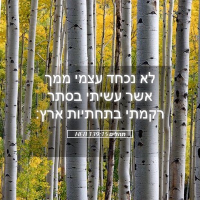 Picture 05 - תהלים 139:15 HEB - לא נכחד עצמי ממך אשר עשיתי - Bible Verse Picture