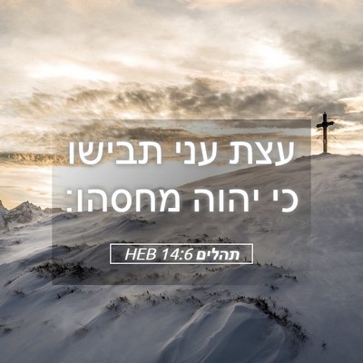 Picture 05 - תהלים 14:6 HEB - עצת עני תבישו כי יהוה - Bible Verse Picture