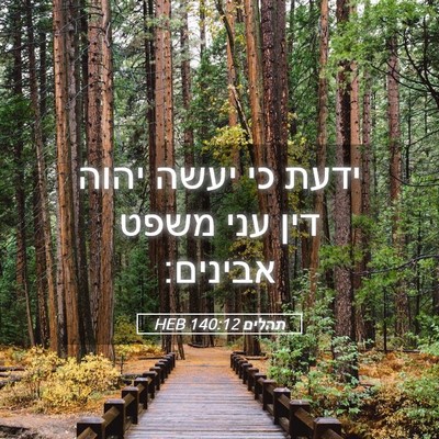 Picture 05 - תהלים 140:12 HEB - ידעת כי יעשה יהוה דין עני - Bible Verse Picture