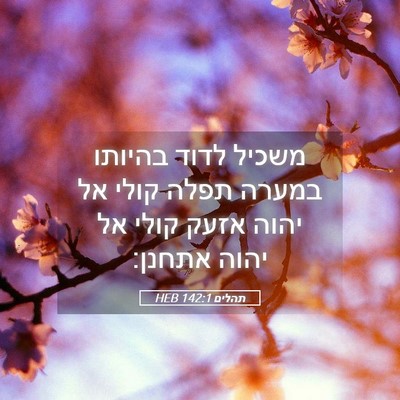 Picture 05 - תהלים 142:1 HEB - משכיל לדוד בהיותו במערה - Bible Verse Picture