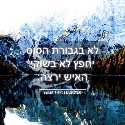 Picture 05 - תהלים 147:10 HEB - לא בגבורת הסוס יחפץ לא - Bible Verse Picture