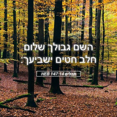 Picture 05 - תהלים 147:14 HEB - השם גבולך שלום חלב חטים - Bible Verse Picture
