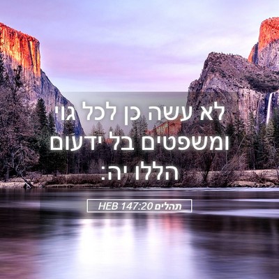 Picture 05 - תהלים 147:20 HEB - לא עשה כן לכל גוי ומשפטים - Bible Verse Picture