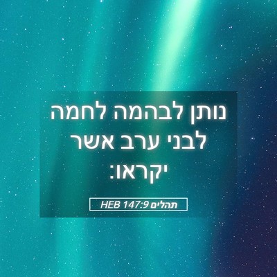 Picture 05 - תהלים 147:9 HEB - נותן לבהמה לחמה לבני ערב - Bible Verse Picture