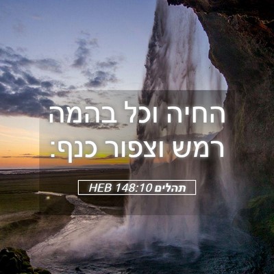 Picture 05 - תהלים 148:10 HEB - החיה וכל בהמה רמש וצפור - Bible Verse Picture