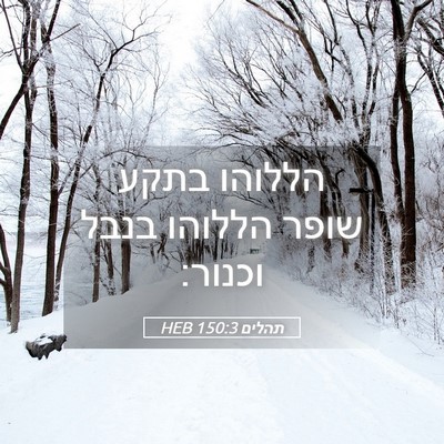 Picture 05 - תהלים 150:3 HEB - הללוהו בתקע שופר הללוהו - Bible Verse Picture