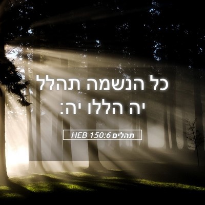 Picture 05 - תהלים 150:6 HEB - כל הנשמה תהלל יה הללו - Bible Verse Picture