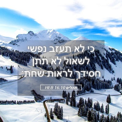 Picture 05 - תהלים 16:10 HEB - כי לא תעזב נפשי לשאול לא - Bible Verse Picture